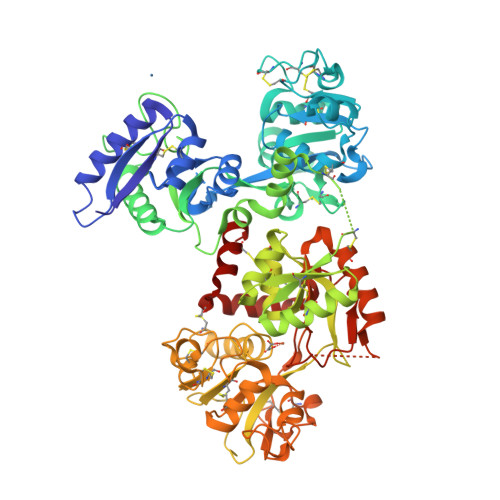 RCSB PDB - 7FFU: Osmium-bound human serum transferrin