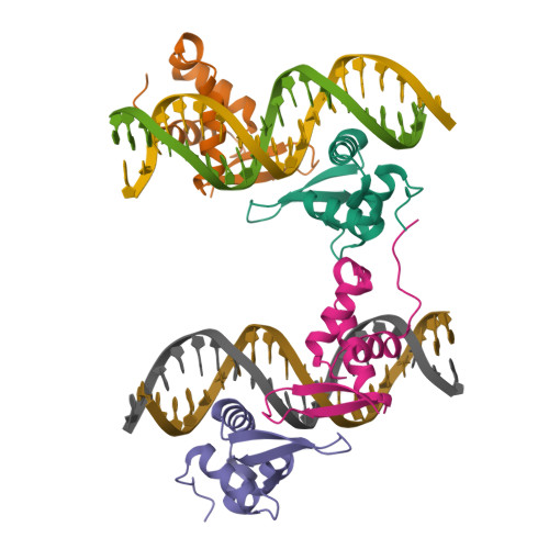 RCSB PDB - 7FJ2: Structure of FOXM1 homodimer bound to a