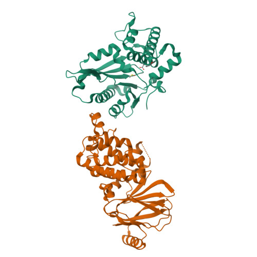 Rcsb Pdb 7fng Pandda Analysis Group Deposition Aar2 Rnaseh In