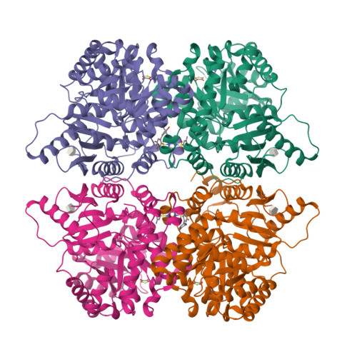 Rcsb Pdb Fsa Structure Of Liver Pyruvate Kinase In Complex With Allosteric Modulator