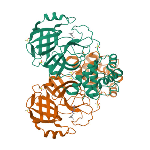 Rcsb Pdb Gbz Group Deposition Sars Cov Main Protease In Complex