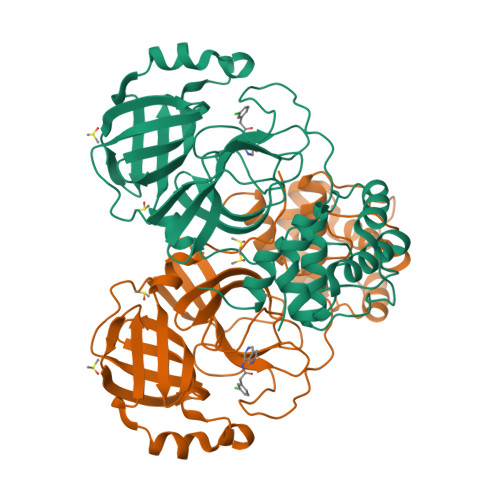 RCSB PDB - 7GER: Group deposition SARS-CoV-2 main protease in