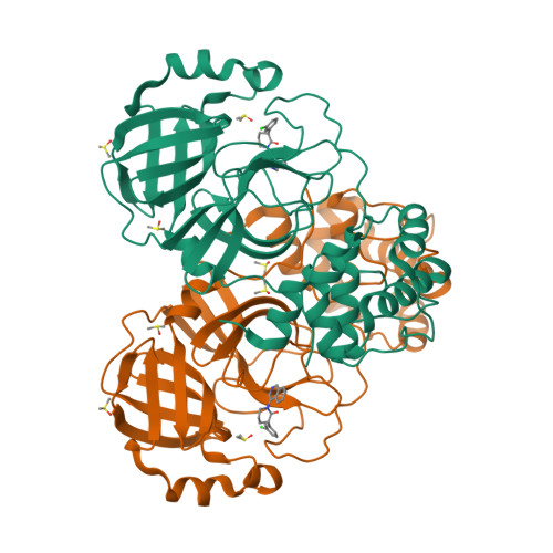 Ggh Structure RCSB PDB - 7GGH: Group deposition SARS-CoV-2 main protease in complex ...