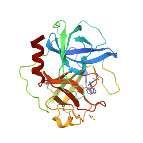 RCSB PDB - 7H64: THE 1.68 A CRYSTAL STRUCTURE OF HUMAN CHYMASE IN ...