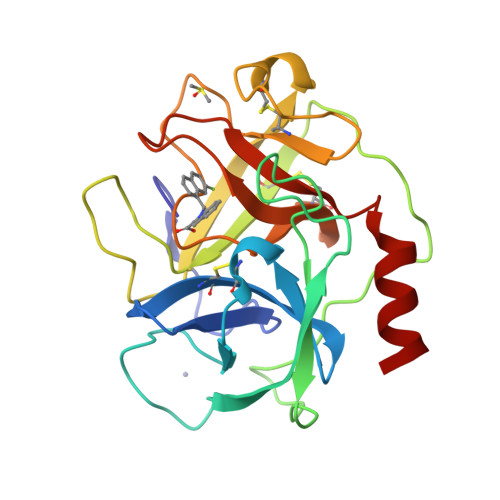 RCSB PDB - 7H69: THE 1.67 A CRYSTAL STRUCTURE OF HUMAN CHYMASE IN ...