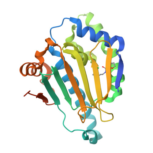 RCSB PDB - 7HAY: PanDDA analysis group deposition -- Crystal structure of HSP90N in complex with ...