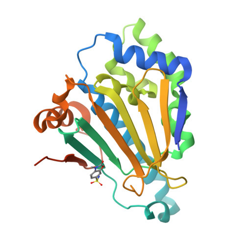 Structure Hbb RCSB PDB - 7HBB: PanDDA analysis group deposition -- Crystal structure ...