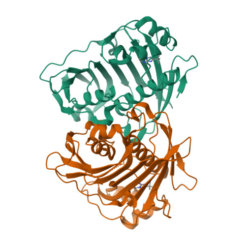 RCSB PDB - 7HTY: PanDDA analysis group deposition -- Crystal Structure ...