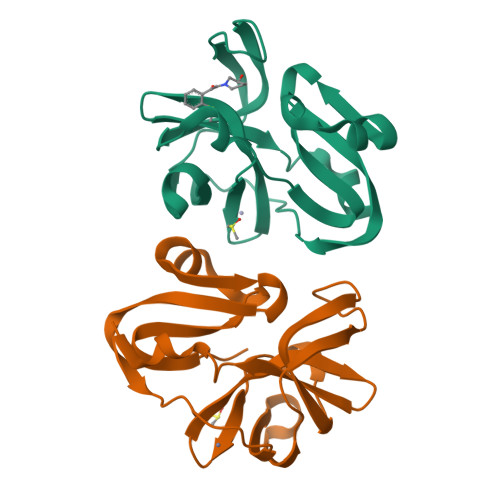 RCSB PDB - 7I57: Group deposition of Coxsackievirus A16 (G-10) 2A