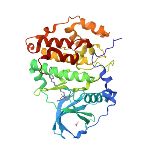 RCSB PDB - 7I8N: Crystal Structure of 12 bound to CK2a