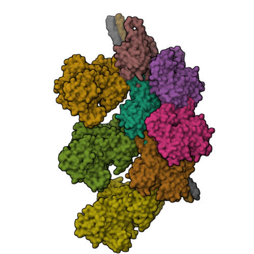 RCSB PDB - 7JH7: cardiac actomyosin complex