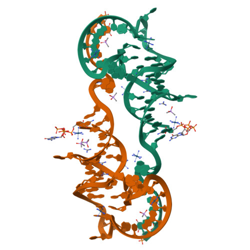 けたん RCSB PDB - 7JJU: Crystal structure of en exoribonuclease-resistant