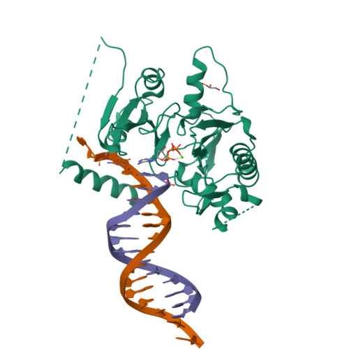 RCSB PDB - 7JKL: Human PrimPol misinserting dATP opposite