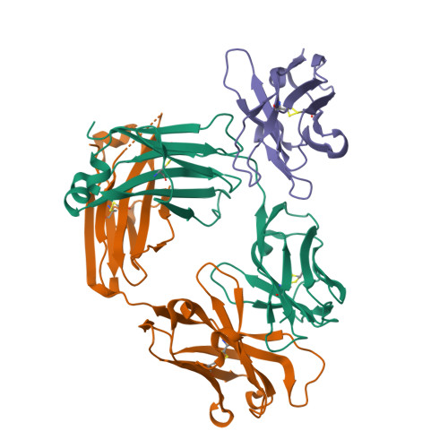 KKK☆様 RCSB PDB - 7JKM: REGN1 Human Fab in complex with anti-Kappa VHH domain