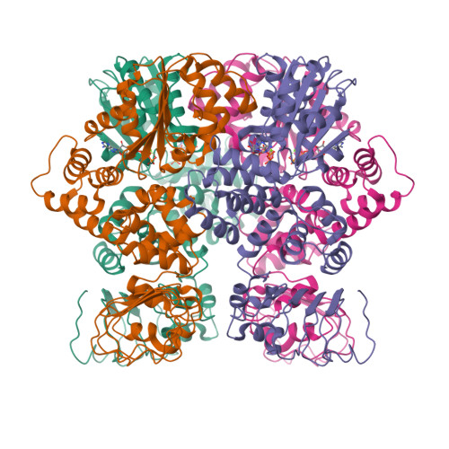 RCSB PDB - 7JLV: Structure of the activated Roq1 resistosome
