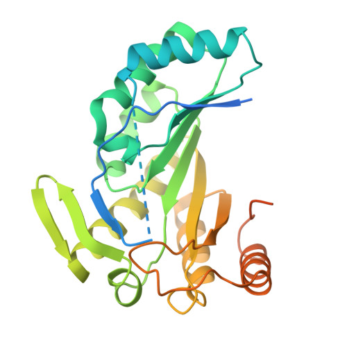 RCSB PDB - 7JMA: Crystal structure of the apo form of Nitrogenase iron ...