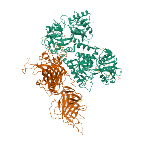 RCSB PDB - 7JRD: The crystal structure of lactoferrin binding