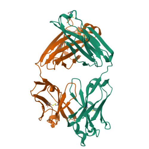 Rcsb Pdb 7jxe Mapping Neutralizing And Immunodominant Sites On The