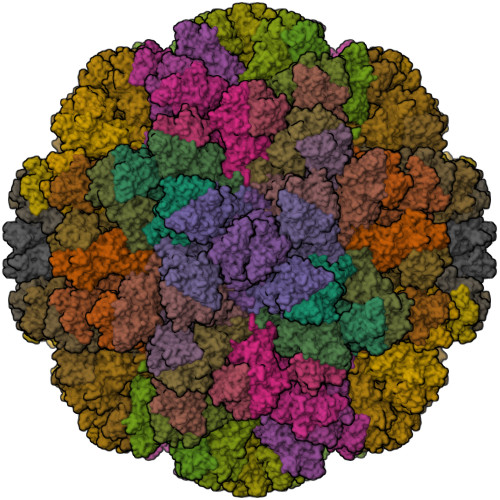 RCSB PDB - 7K6V: Crystal Structure of Virus-like Particles of GII