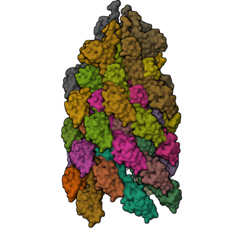 RCSB PDB - 7K7K: Structure of the EPEC type III secretion injectisome ...