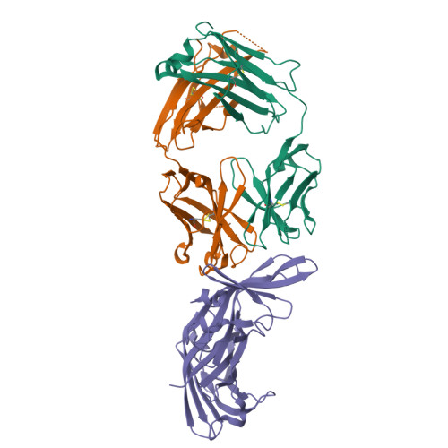 RCSB PDB 7KET Factor H enhancing human antibody fragment (Fab) to