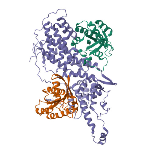 RCSB PDB - 7KFZ: Structure of a ternary KRas(G13D)-SOS complex