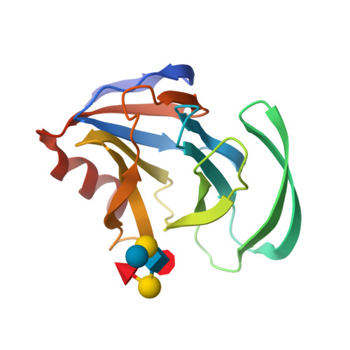 RCSB PDB KHU Crystal Structure Of The Carbohydrate Binding Domain VP Of Human P