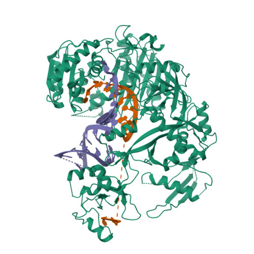 その他 cre 51EKYsE-T9L._AC_SY200_QL15_.jpg