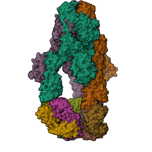 RCSB PDB - 7KML: cryo-EM structure of SARS-CoV-2 spike in complex with ...