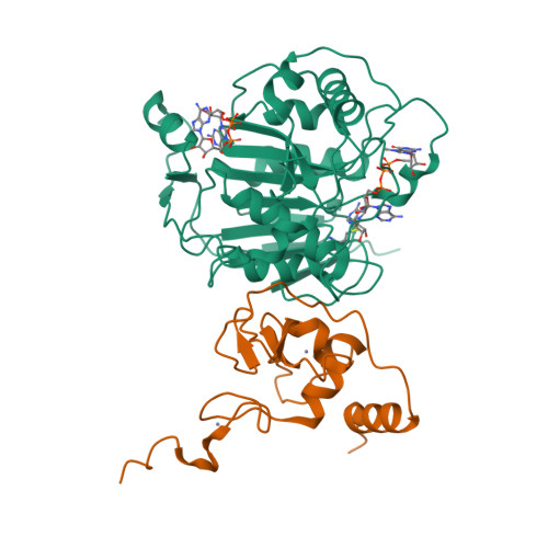 Rcsb Pdb 7koa Room Temperature Structure Of Sars Cov 2 Nsp10 16 Methyltransferase In A