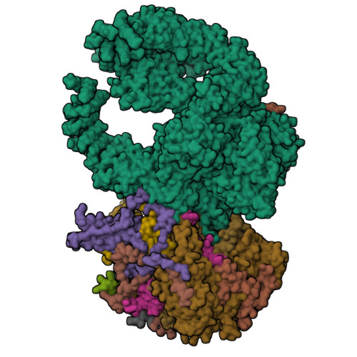 PDB 7KTR