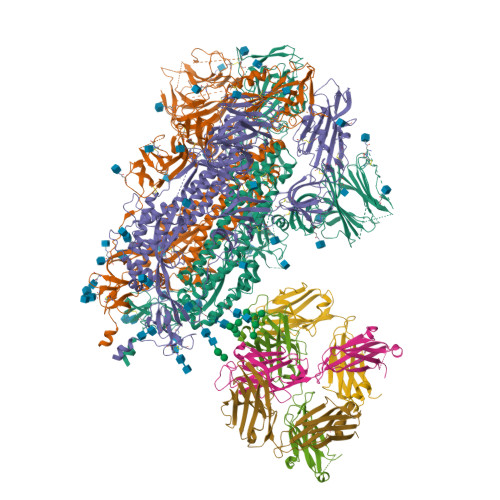 075と0612点まとめ RCSB PDB - 7L09: Cryo-EM structure of SARS-CoV-2 2P S ectodomain