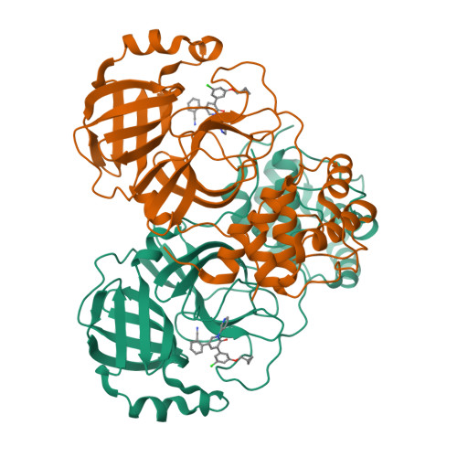 Potent Noncovalent Inhibitors of the Main Protease of SARS-CoV-2