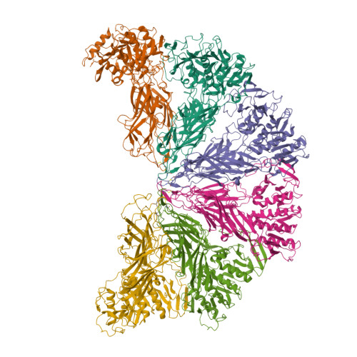 RCSB PDB - 7L2Z: Bacterial cellulose synthase BcsB hexamer