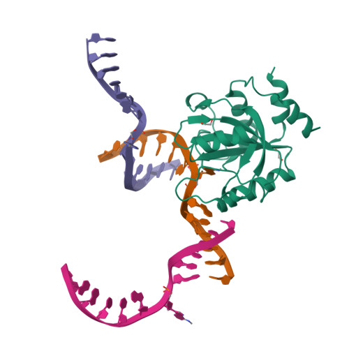 RCSB PDB - 7L4X: YTH Domain of Human YTHDC1 with dsDNA Comprising ...