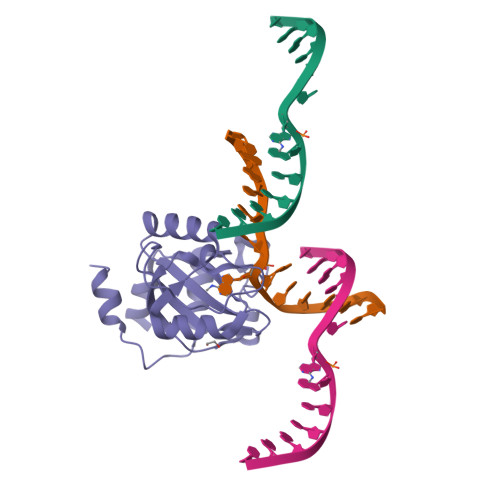 RCSB PDB - 7L4Y: YTH Domain of Human YTHDC1 with dsDNA Comprising ...