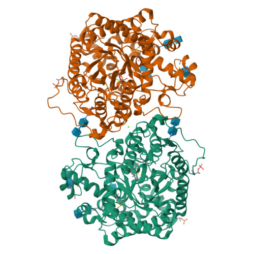 RCSB PDB - 7L74: Crystal structure of Beta-hexosyl transferase