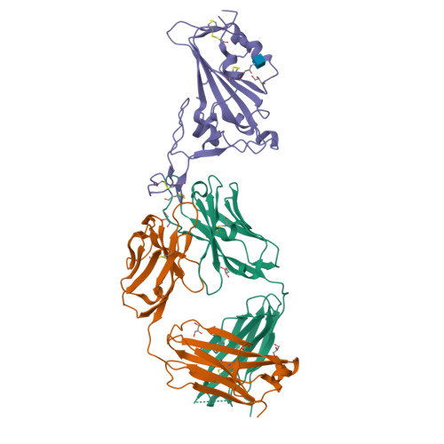 d*a様 Distinction I II III Ⅳ V structures RCSB PDB - 7L7D: Crystal structure of SARS-CoV-2 spike RBD