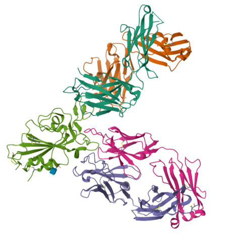 YUページ RCSB PDB - 7L7E: Crystal structure of SARS-CoV-2 spike RBD