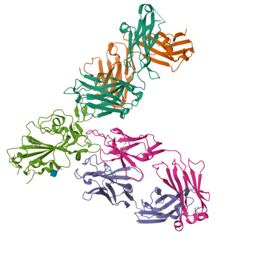 RCSB PDB - 7L7E: Crystal structure of SARS-CoV-2 spike RBD