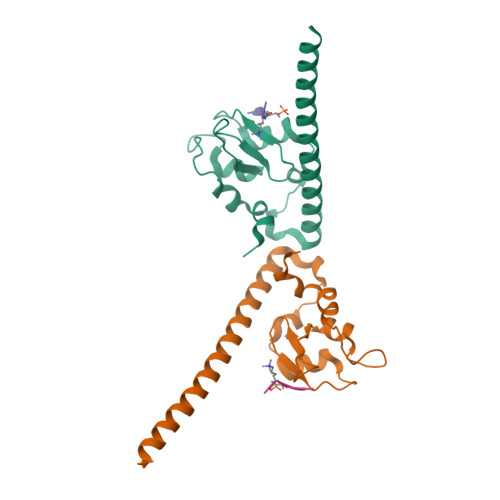 RCSB PDB - 7LBK: Crystal Structure Of Human Survivin Bound To Histone ...