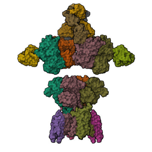 Glutamate receptor 1 structure