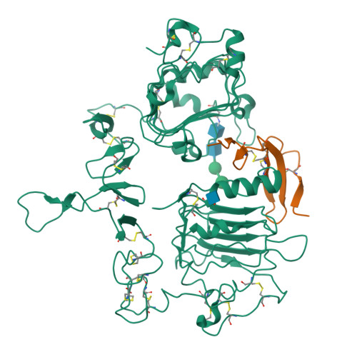 Rcsb Pdb Lfs Crystal Structure Of The Epidermal Growth Factor Receptor Extracellular Region