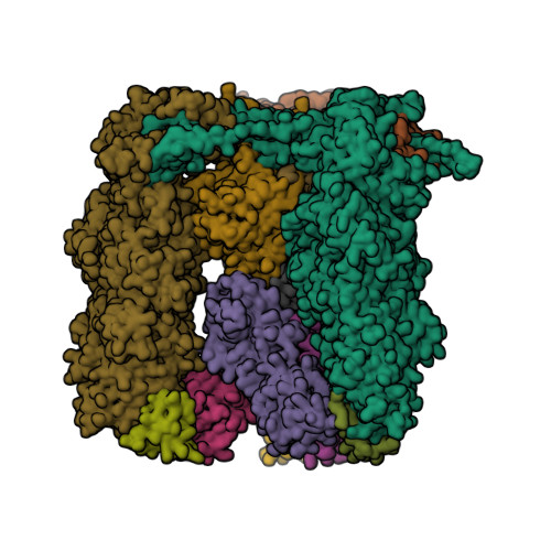 A Unique Role of the Human Cytomegalovirus Small Capsid Protein in
