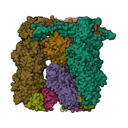 A Unique Role of the Human Cytomegalovirus Small Capsid Protein in Capsid  Assembly