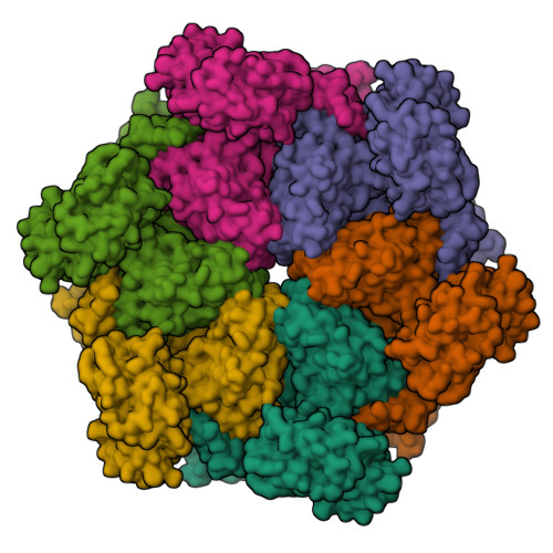 RCSB PDB - 7LMY: Cryo-EM structure of human p97 in complex with NMS-873 ...