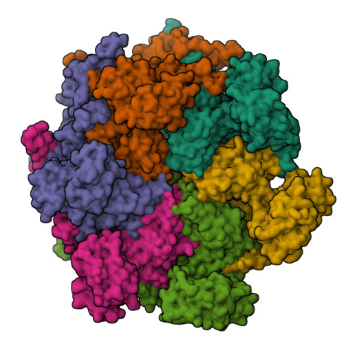 RCSB PDB - 7LN1: Cryo-EM structure of human p97 in complex with Npl4 ...