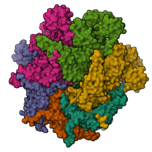 RCSB PDB - 7LN6: Cryo-EM structure of human p97 in complex with Npl4 ...