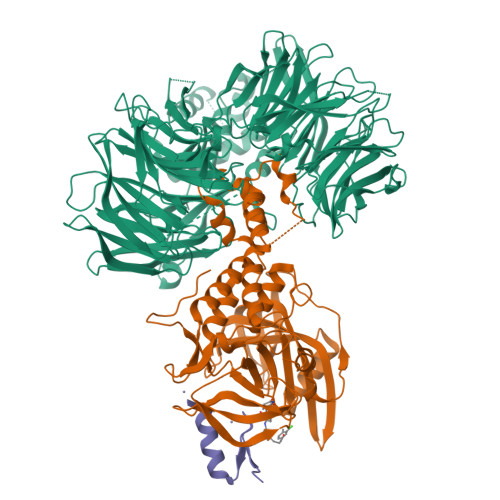 RCSB PDB - 7LPS: Crystal structure of DDB1-CRBN-ALV1 complex