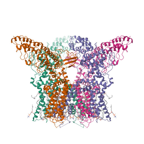 RCSB PDB - 7LQZ: Structure of squirrel TRPV1 in complex with RTX